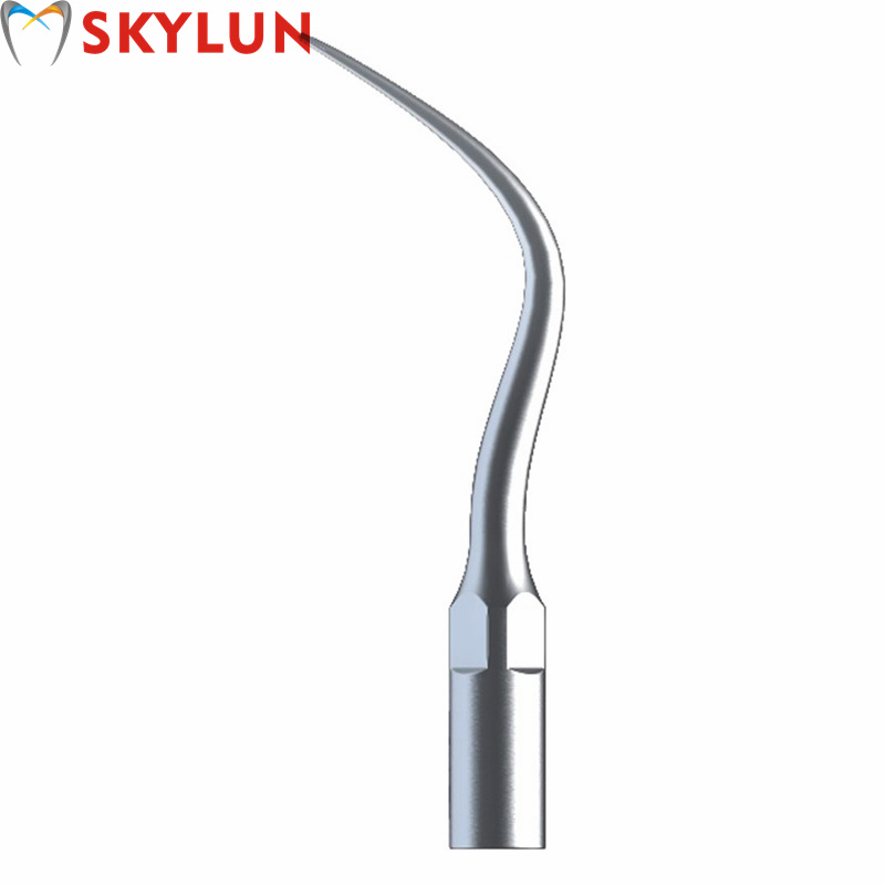 Teeth Whitening Free - 5PCS P4 치과용 초음파 스케일러 팁
