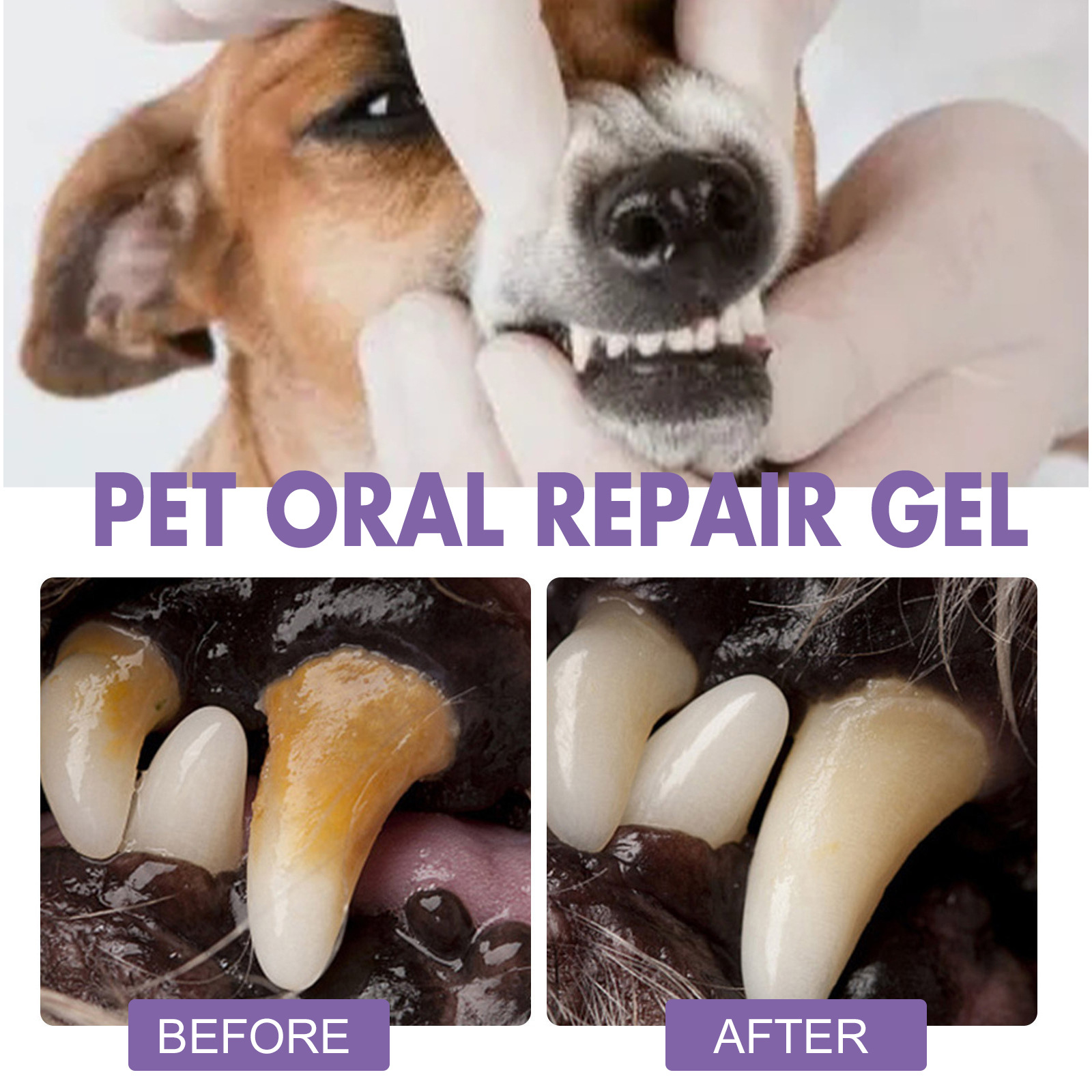 애완 동물 구강 수리 젤 강아지 타르타르 제거 냄새 제 - Teeth Whitening Gels Used By Dentists 리뷰 및 가격