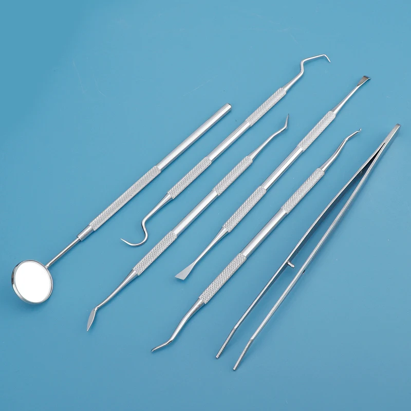치과 도구 치간 치실 청소기 전문 구강 관리 치실 픽  - Dental Floss Picks 리뷰 및 가격